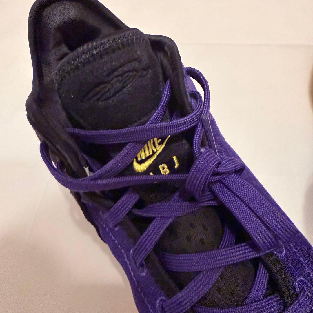 NIKE ズームレブロンネクストGEN DR8788-500 29cm