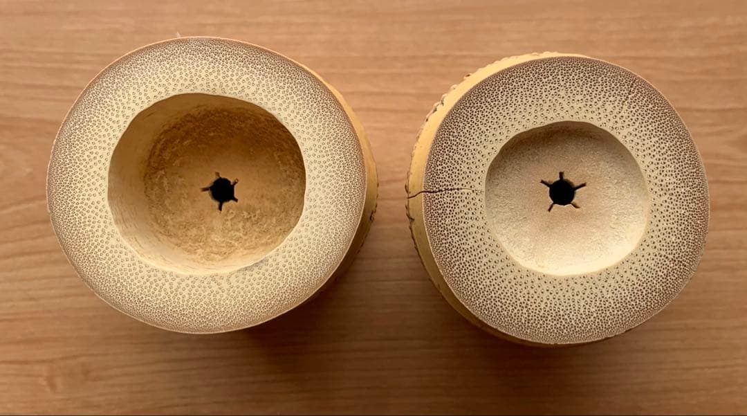 【極美品】竹蓋置一双　福本積應在判箱　　　　宗玄作