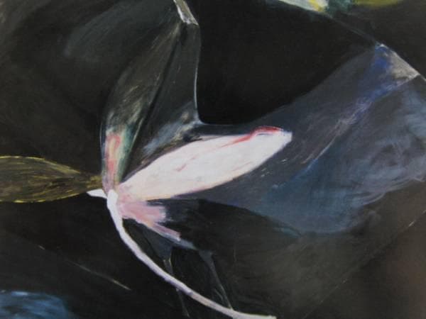 LOIS LANE、UNTITLED、海外版超希少レゾネ、新品額装付