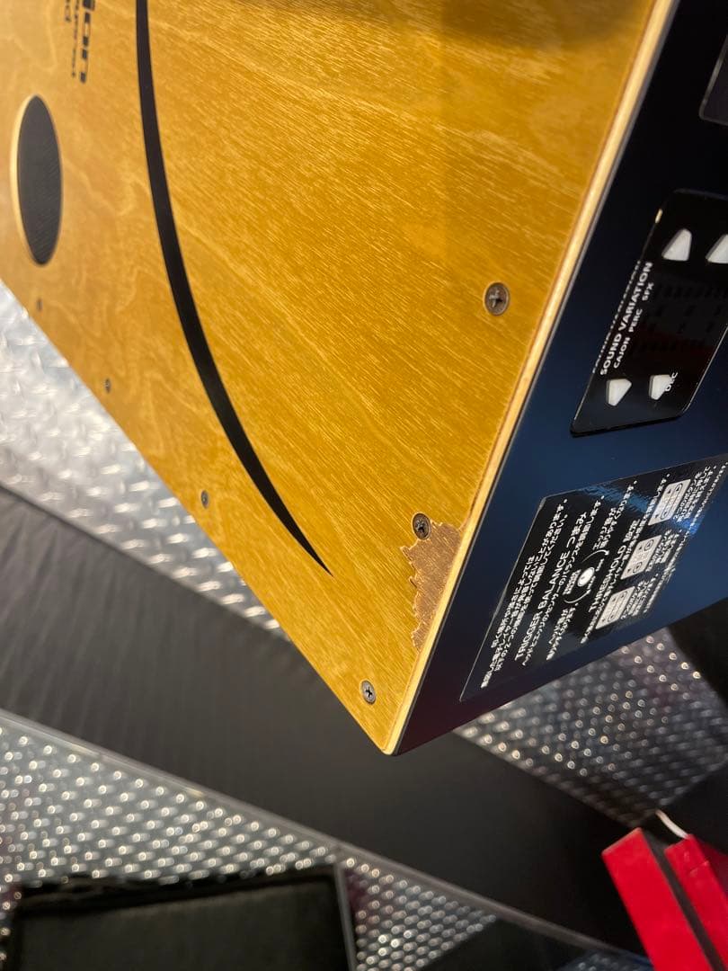 Roland 電子カホン EC-10 ケース ACアダプター付き