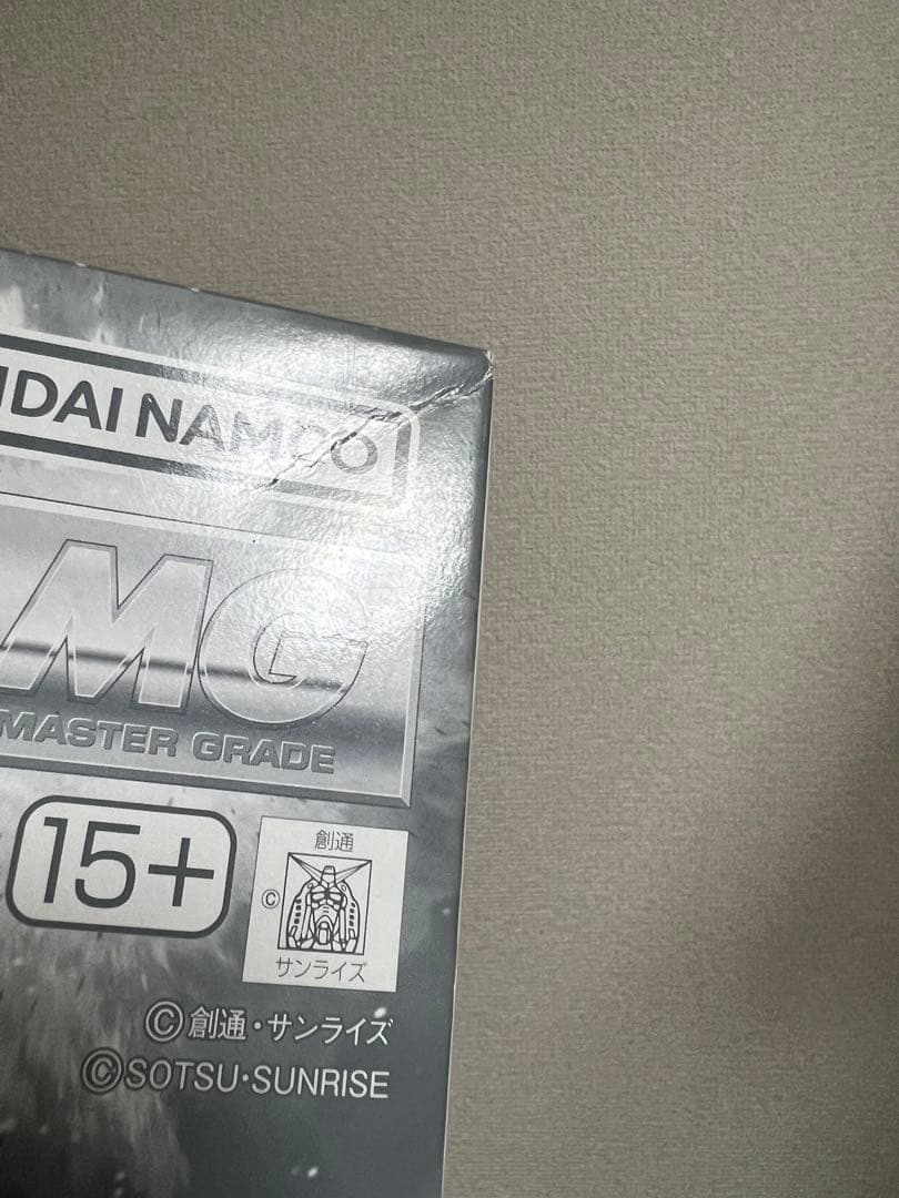 MG 1/100 シンマツナガ専用ザクII(カスタムタイプ)