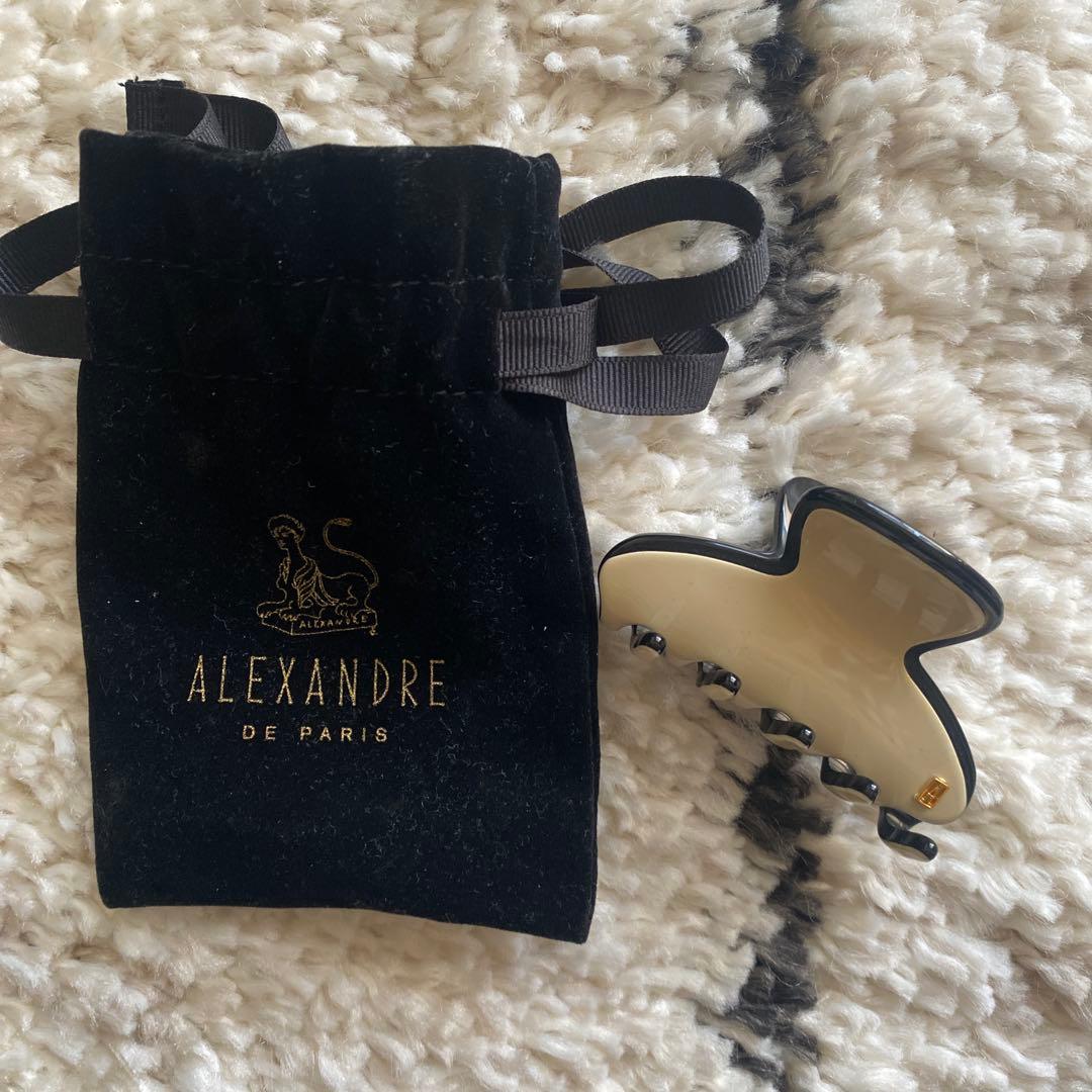 アレクサンドルドゥパリ　リズレーヘアクリップ