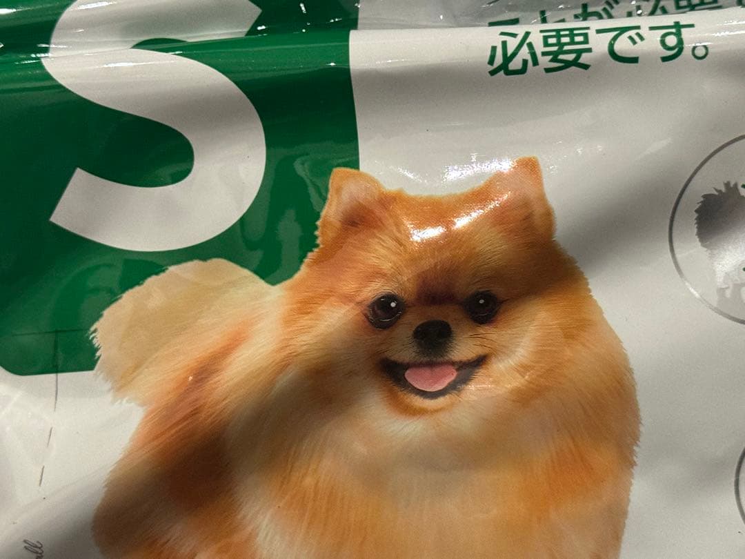 ★ロイヤルカナン　ミニ　インドア　アダルト10kg★小型犬の成犬用！