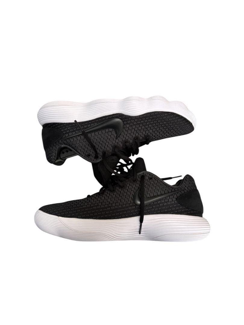 NIKE ハイパーダンク 2017LOW