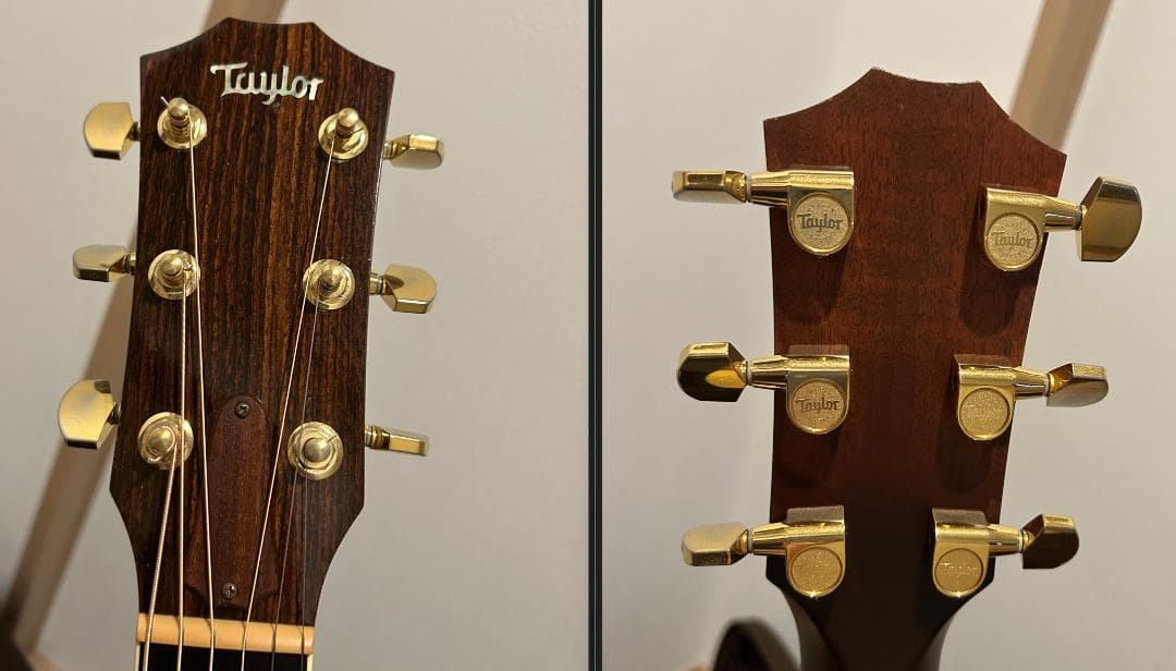 TAYLOR GS (GS8 816 同等) Fishman エレアコ テイラー