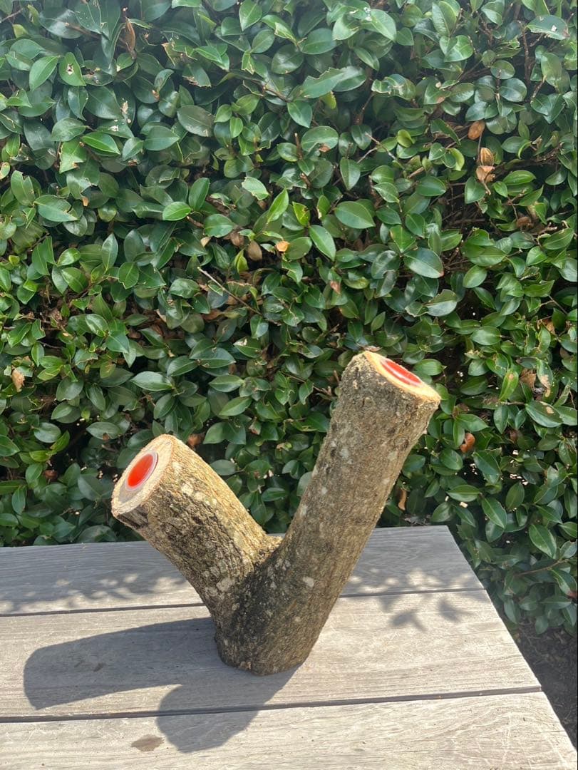 キングクルール様オーダー品　クヌギ　エサ皿