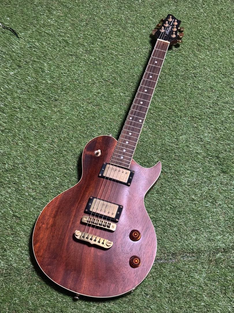 N*n様 Aria Pro2 アリアプロツー　PE-MAHO II/G