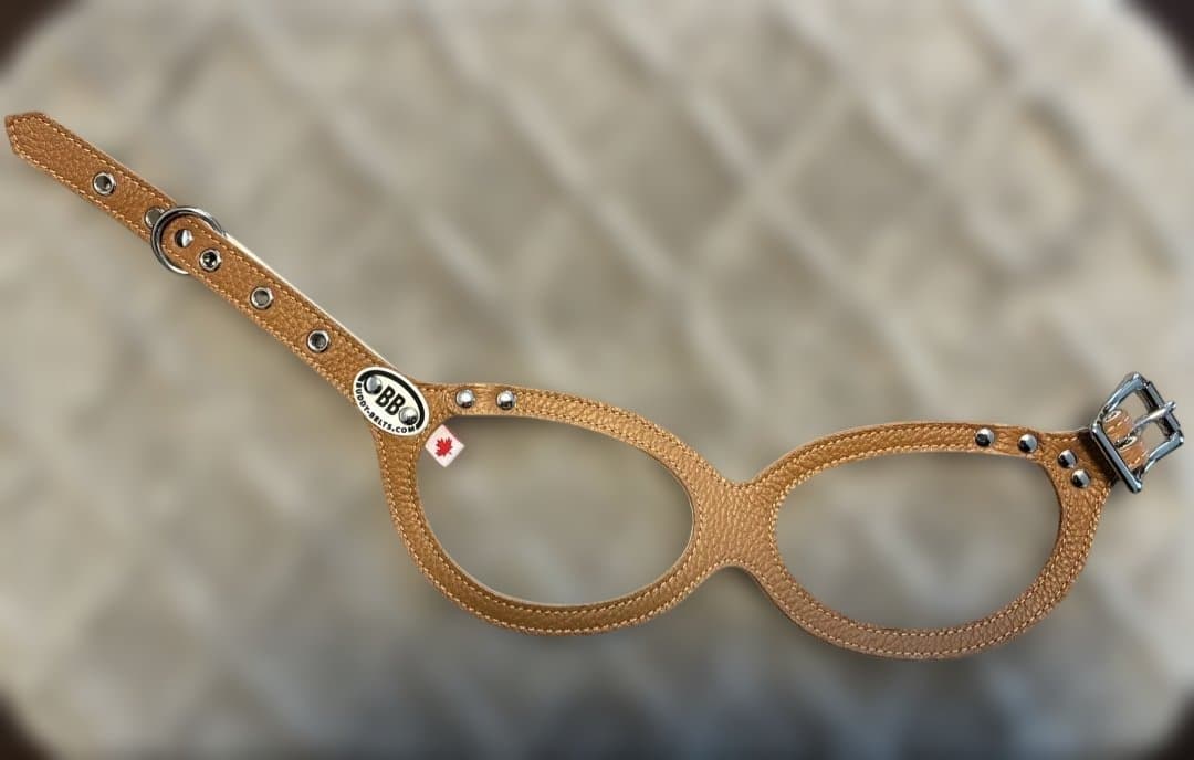 【正規品】Buddy Belts バディベルト 4号 キャラメル 犬用ハーネス