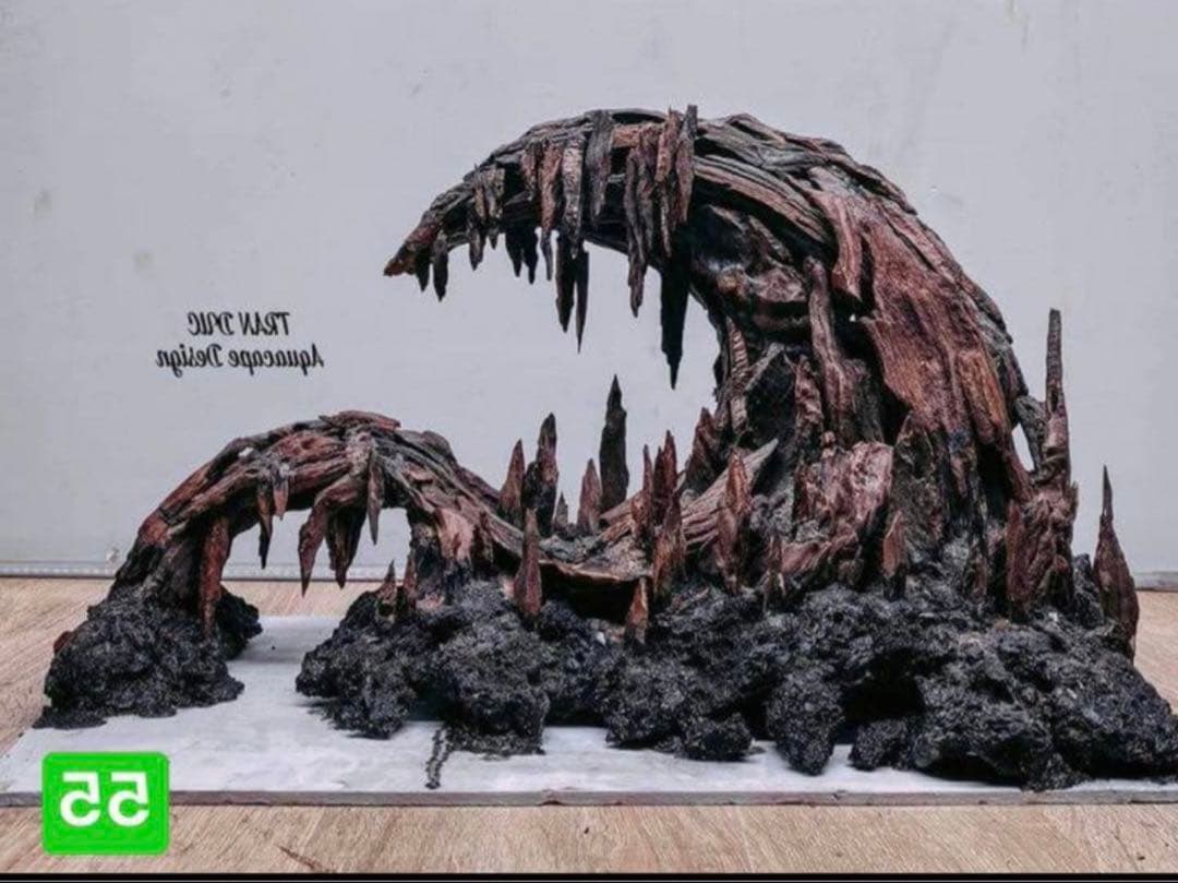 TTD 【⭐︎ SR3様⭐︎】【美品・数量限定】