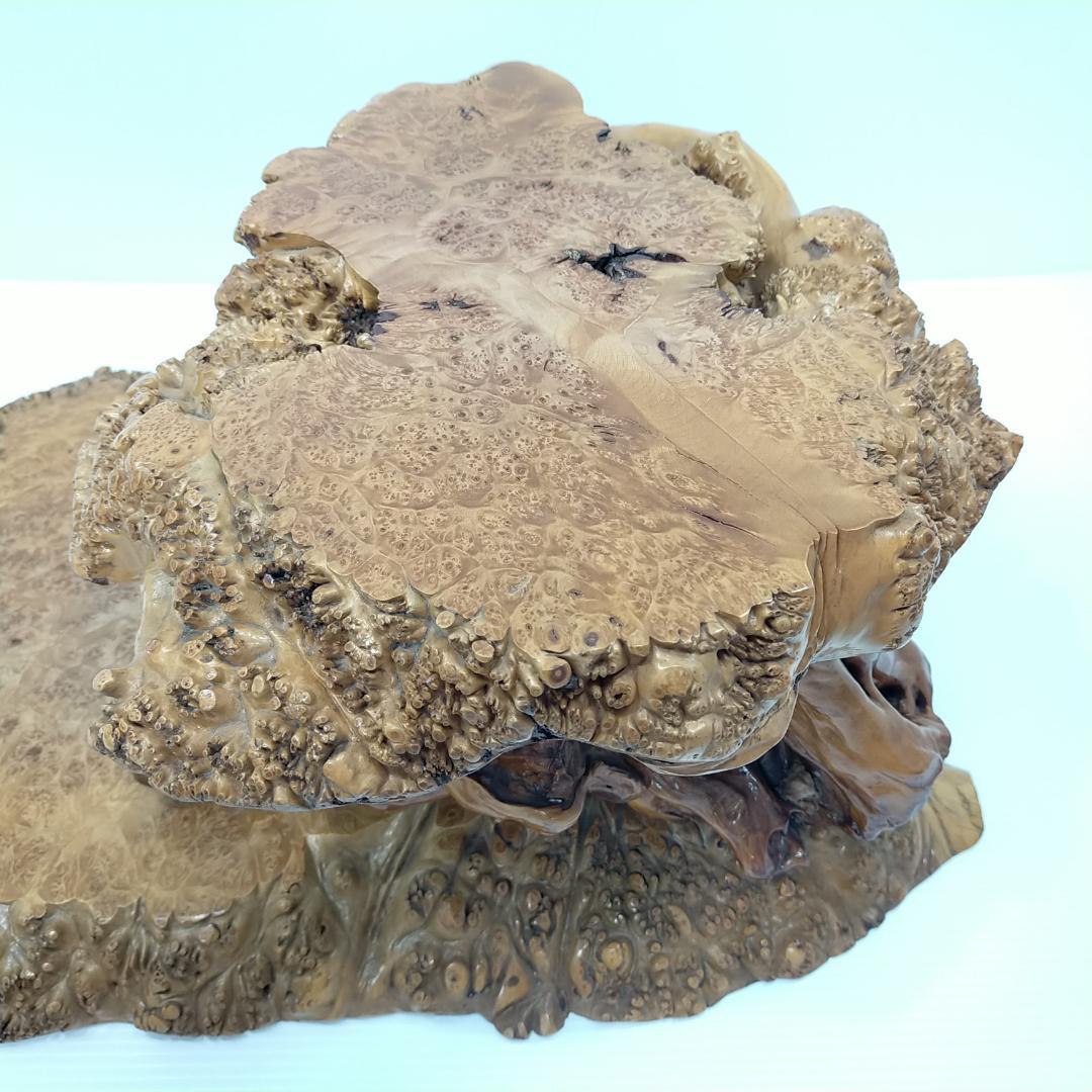 木の根 飾り台 W56cm 高級 花台 豪華 2段 盆栽卓 根卓 飾台 盆栽