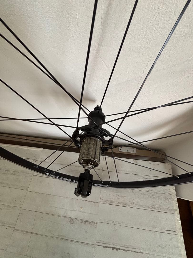 カンパニョーロ　ゾンダ　リム17c 訳アリ