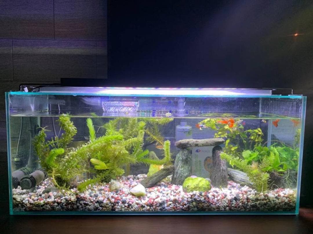 極BLUES LED アクアリウムライト120cm～135cm沖縄送料付