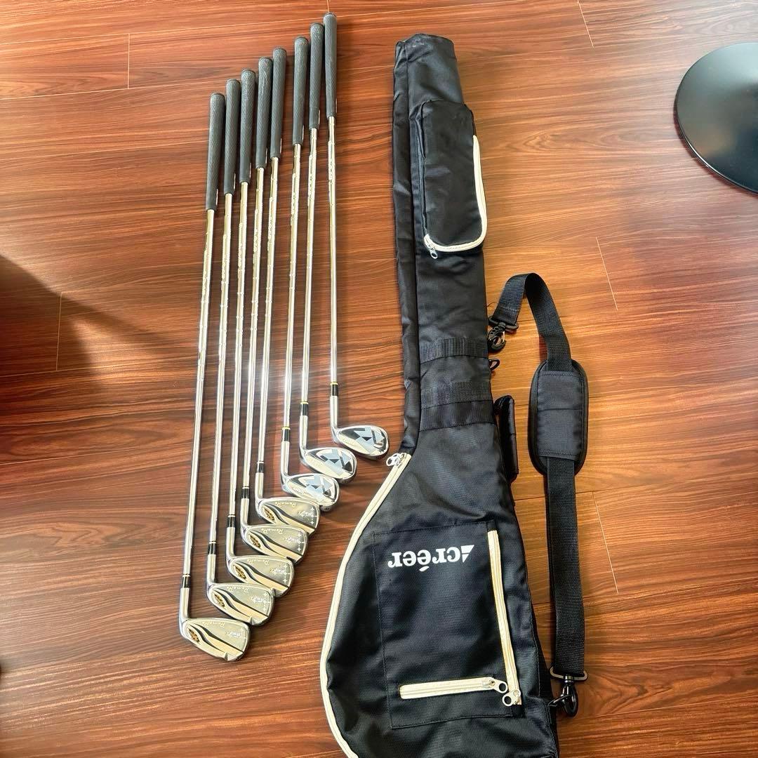 【極美品】RomaRo Rayα FORGED DG105 R300 8本特注品