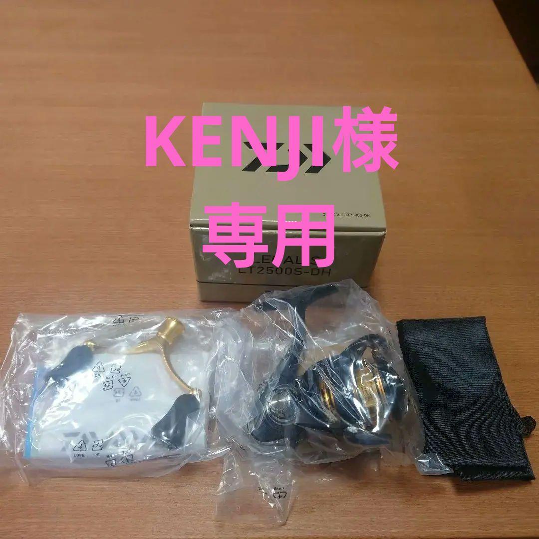 Daiwa レガリス LT2500S-DH スピニングリール