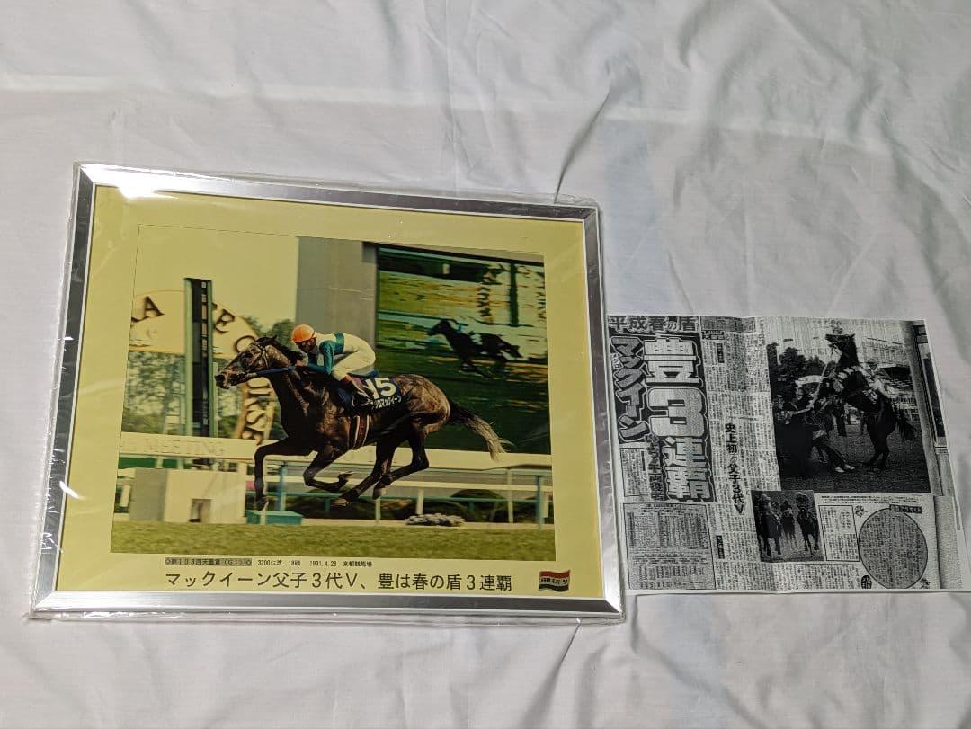 メジロマックイーン　武豊　天皇賞春　競走馬　写真パネル　額縁入り