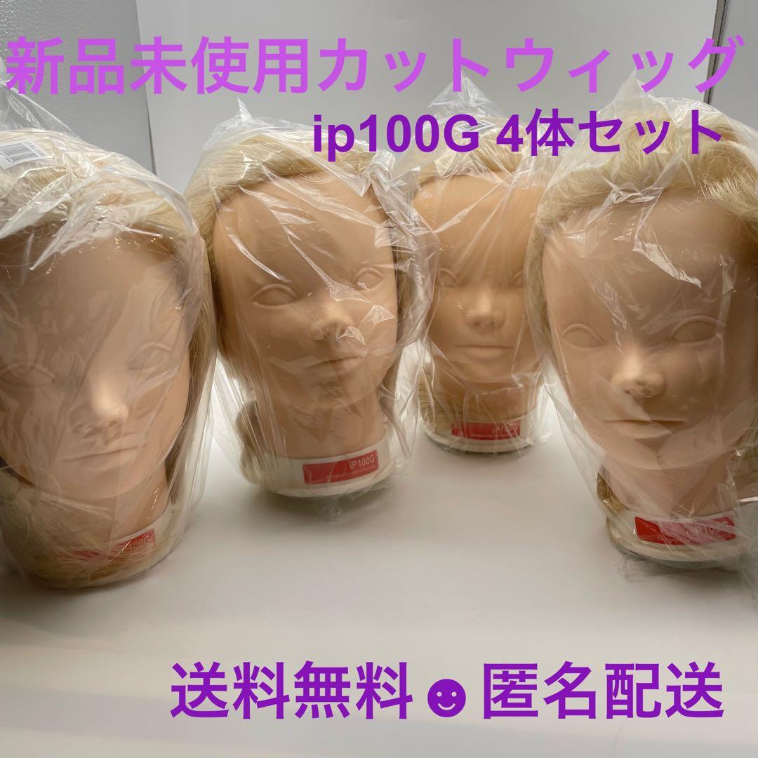カットウィッグ　カットマネキン　ヘアアレンジ　IP100G 新品未使用