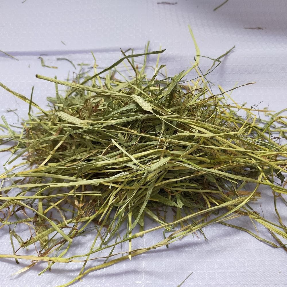 【お得な業販価格】US産 チモシー 2番刈り 300kg ソフトSプレミアム