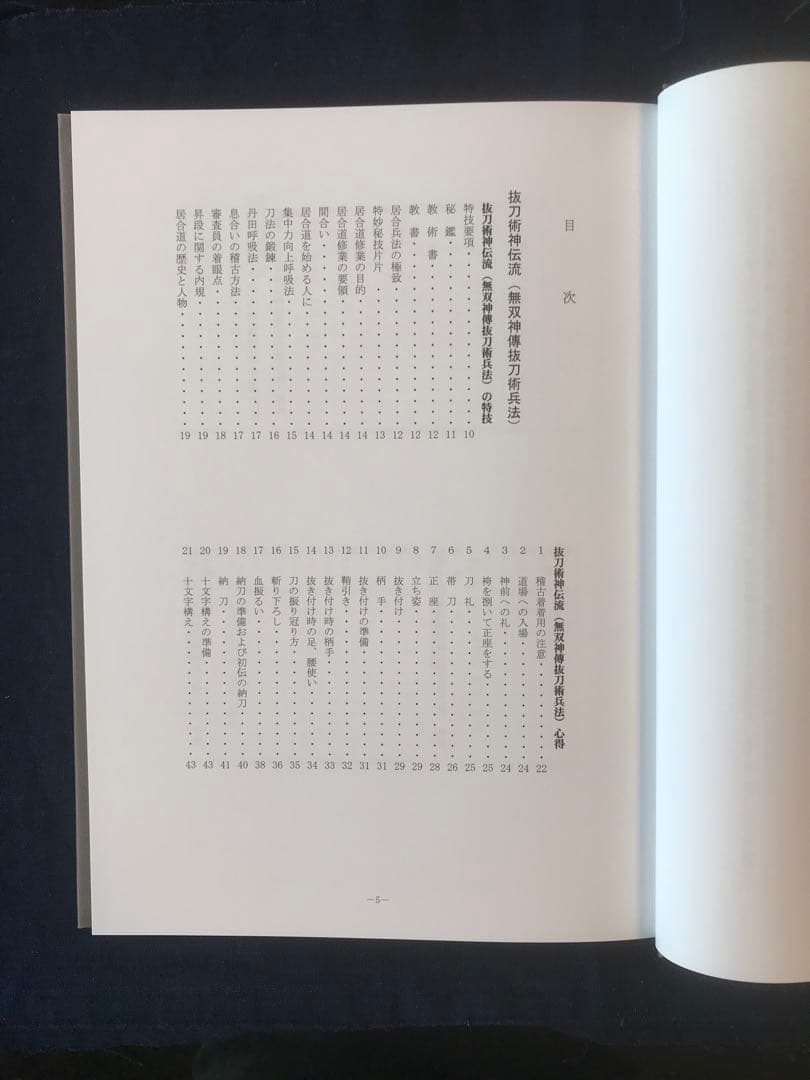 抜刀術神伝流(無双神傳抜刀術兵法)