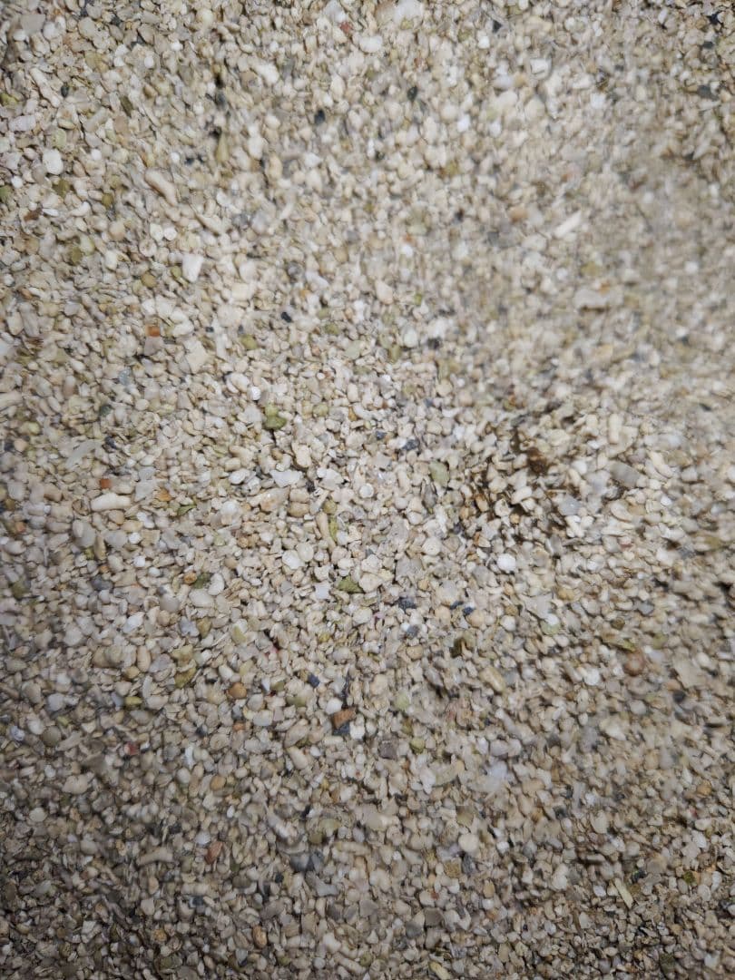 アラガライブ SPグレード リーフサンド 約32kg