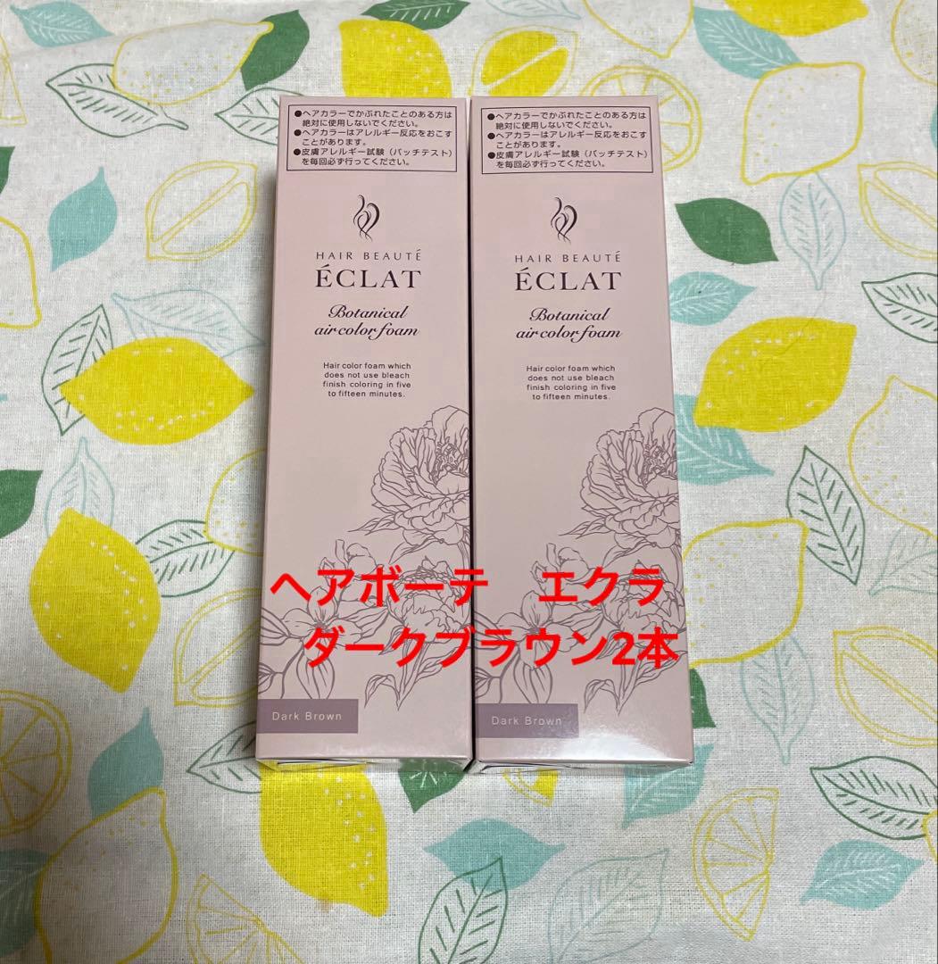ヘアボーテエクラボタニカル　エアカラーフォームup ダークブラウン2本