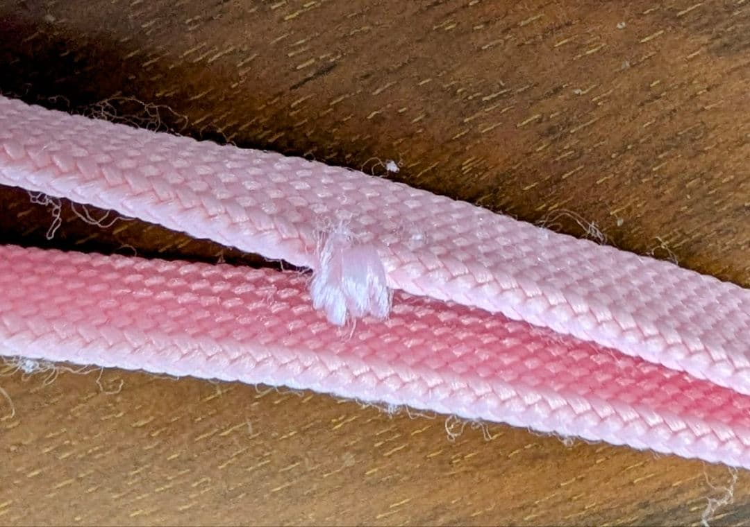 ディズニーパルパルーザ ミニーファンダーランドリボンバッグ