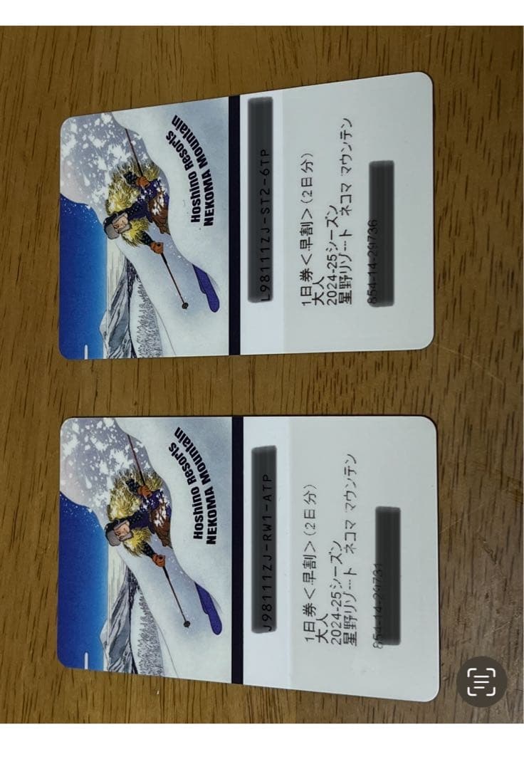 ネコママウンテン24-25 大人２日券✖️２枚