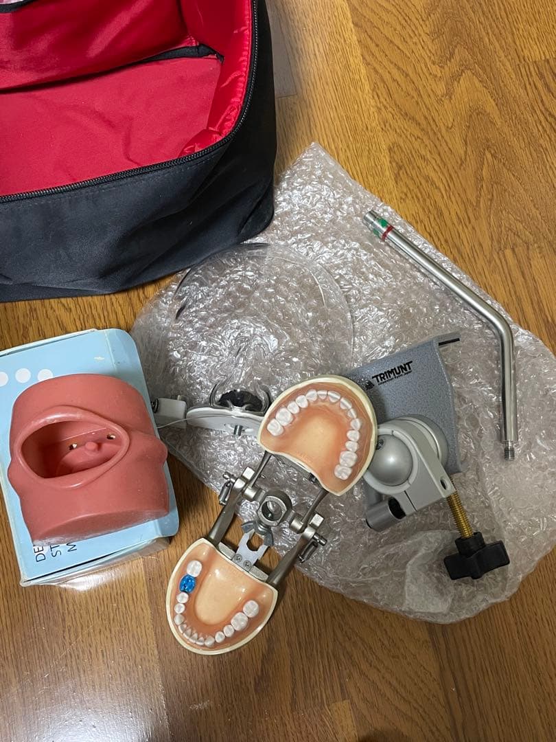 歯科用 シンプルマネキンセット歯科衛生士 顎模型 一式 NISSIN ニッシン