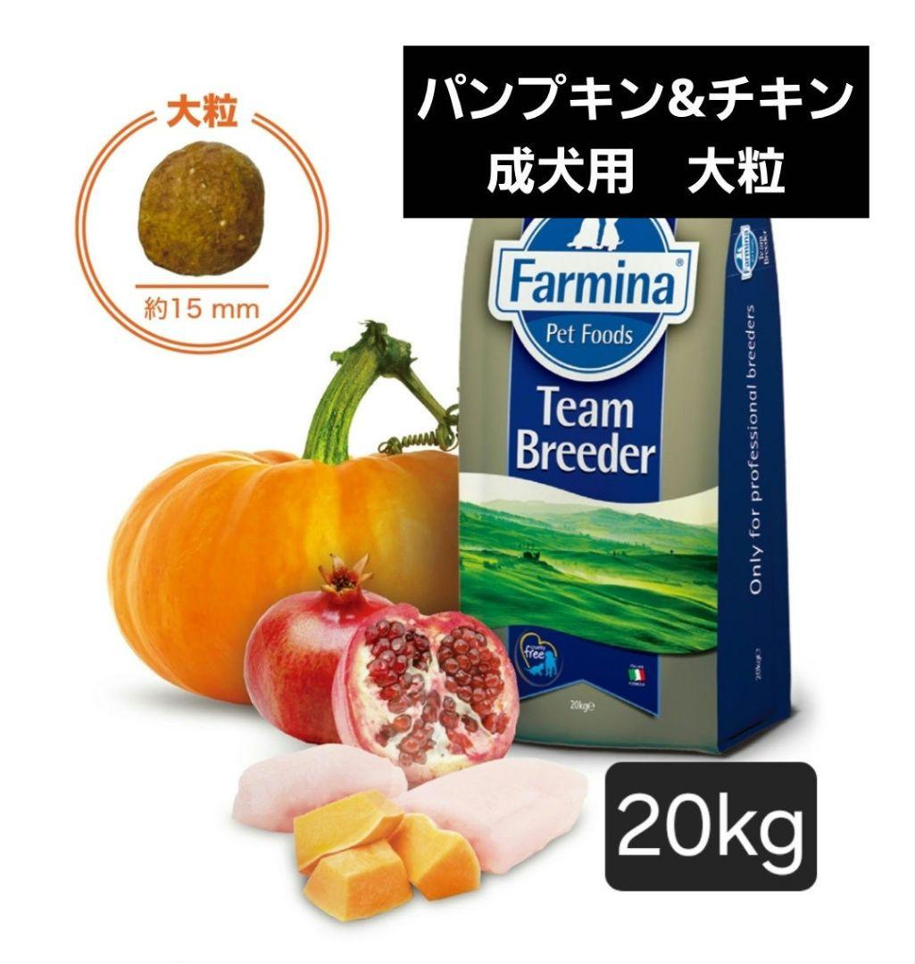 ファルミナ パンプキン＆チキン 20kg 成犬 大粒 フード N&D