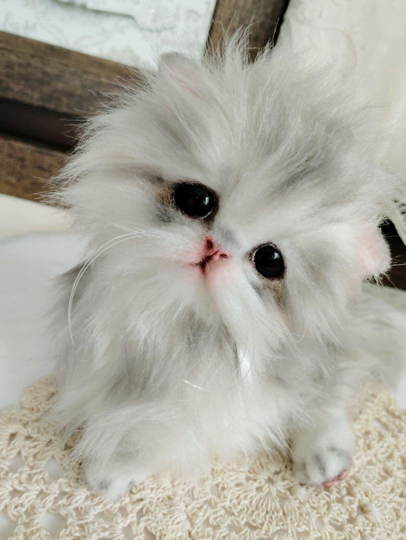 ペルシャベビー♡子猫のシュガーちゃん♡アートドール♡ぬいぐるみ♡