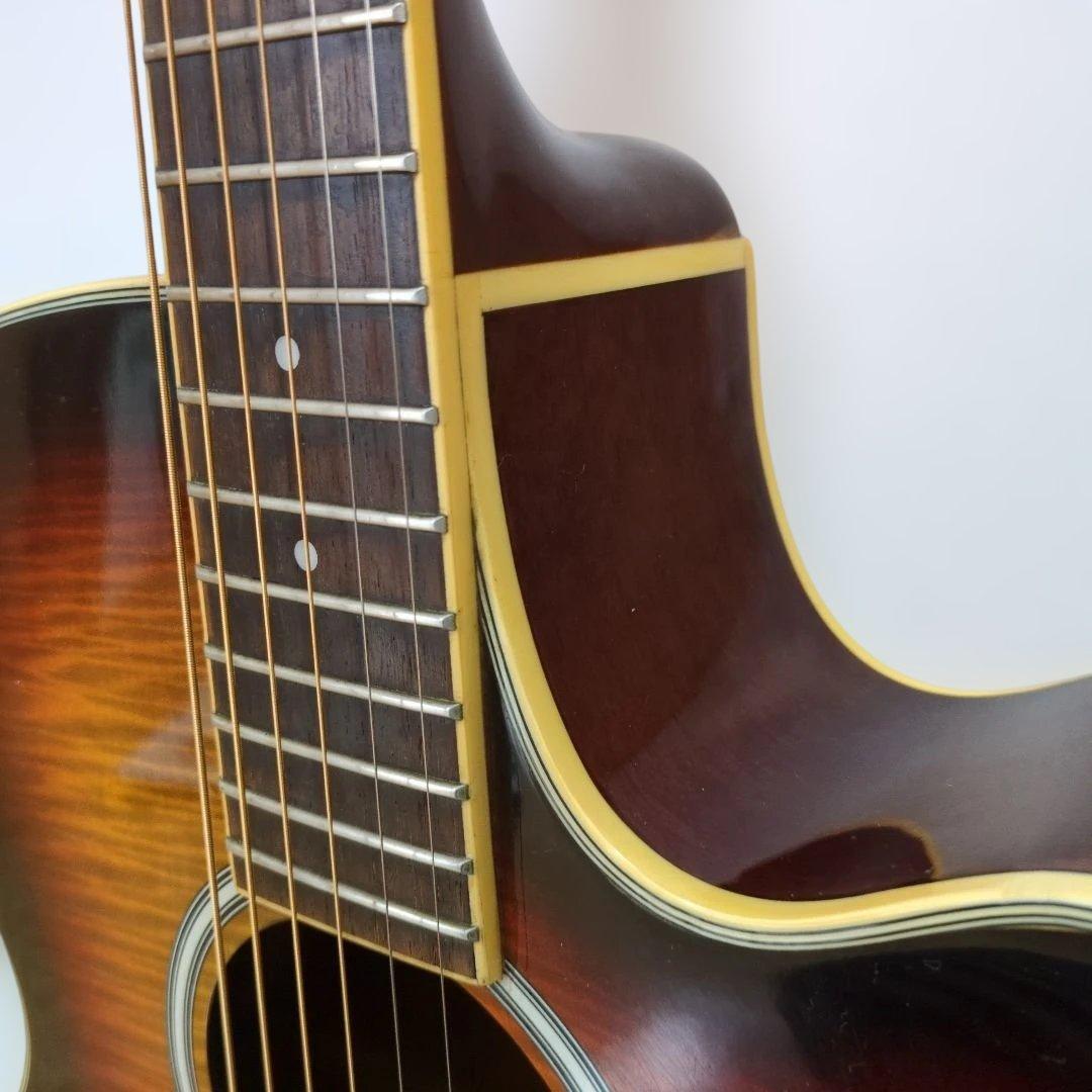 Pro Martin EA500W VS エレアコ