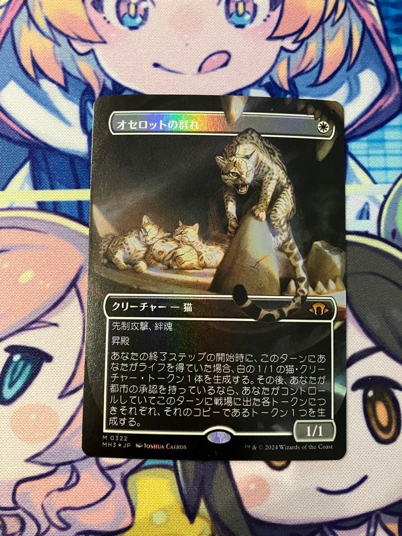 オセロットの群れ　拡張foil