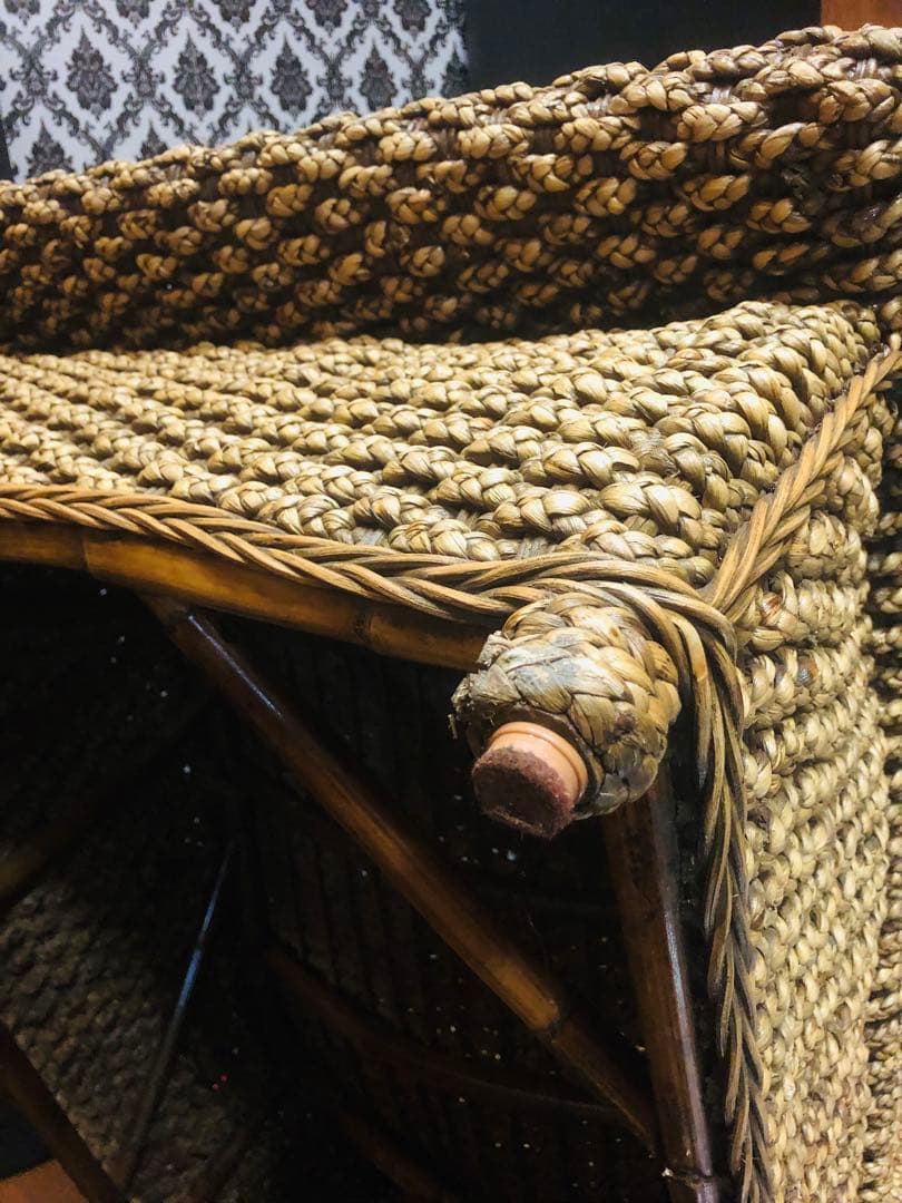 超稀少♦️ウォーターヒヤシンス♦️最高級リゾート　サンベット♦️シェーズロング♦️送料込