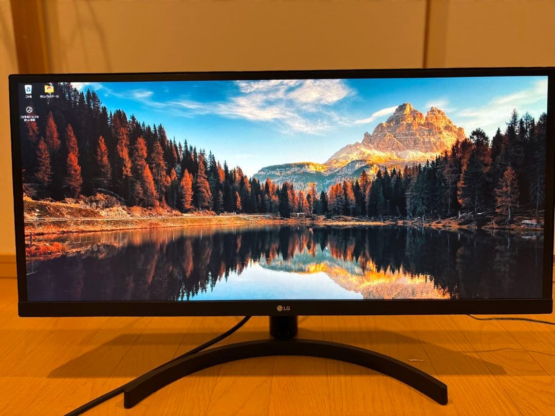 LG Electronics Japan 29WL500-B/29インチ