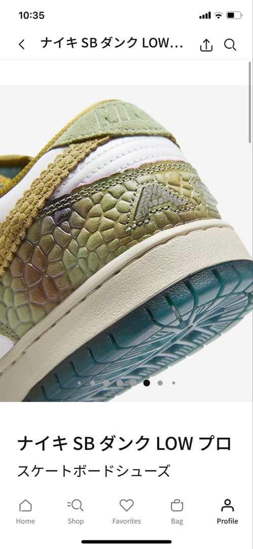 値下げ！ナイキ SB ダンク LOW プロ 23.0 限定コラボ