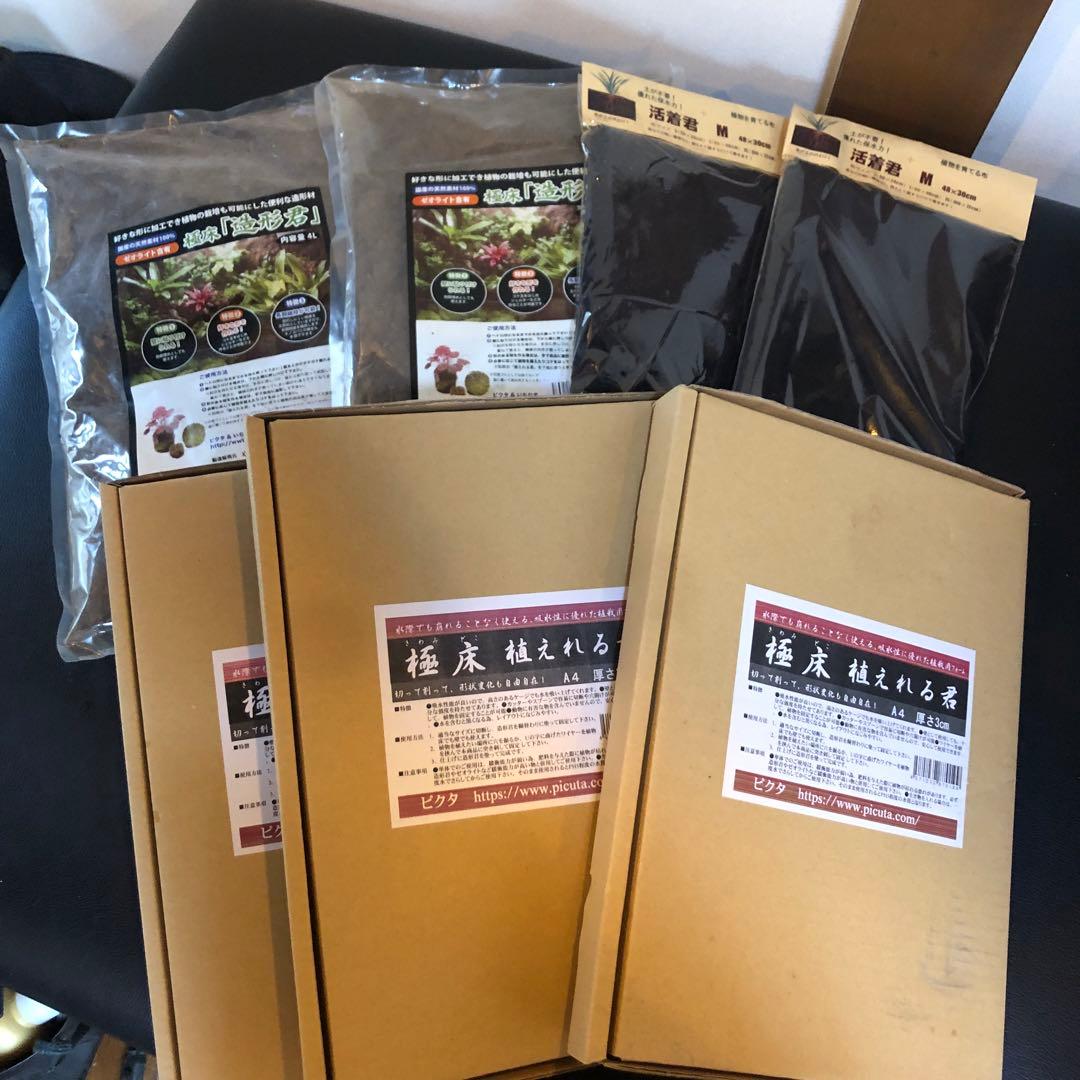 苔テラリウム豪華セット（極床植えれる君A4×3、 活着君M×2、造形君4L×2）