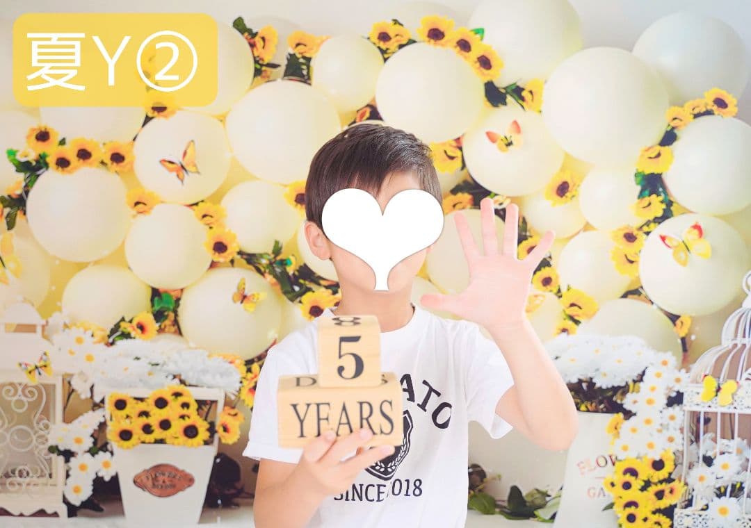 背景布×7+1　ペット撮影用フォトブース　トリミングチョーカー販売中　夏、秋、冬