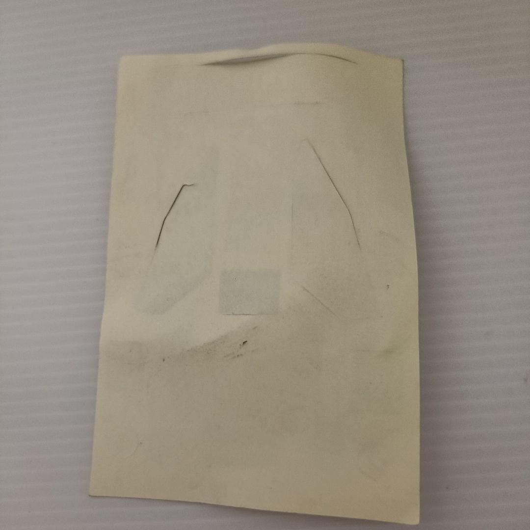 【未組立品】レーサーミニ四駆　ダッシュ02号　新太陽　ネオ・バーニングサン　初期