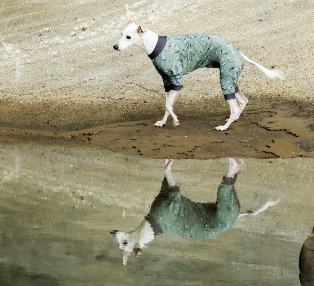 FULL DOG GUARD　フルドッグガード　MOSSY FPM