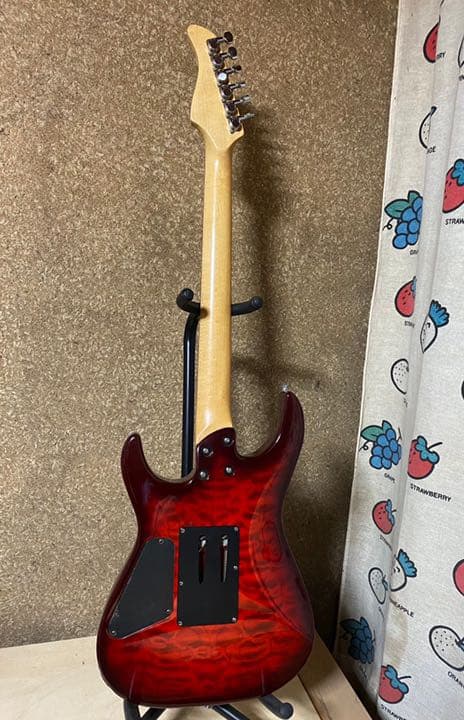 FERNANDES VRGジャパンヴィンテージ