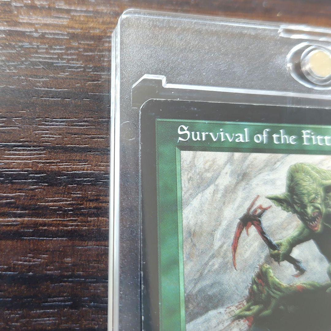 適者生生存　MagicTheGathering　 英語版