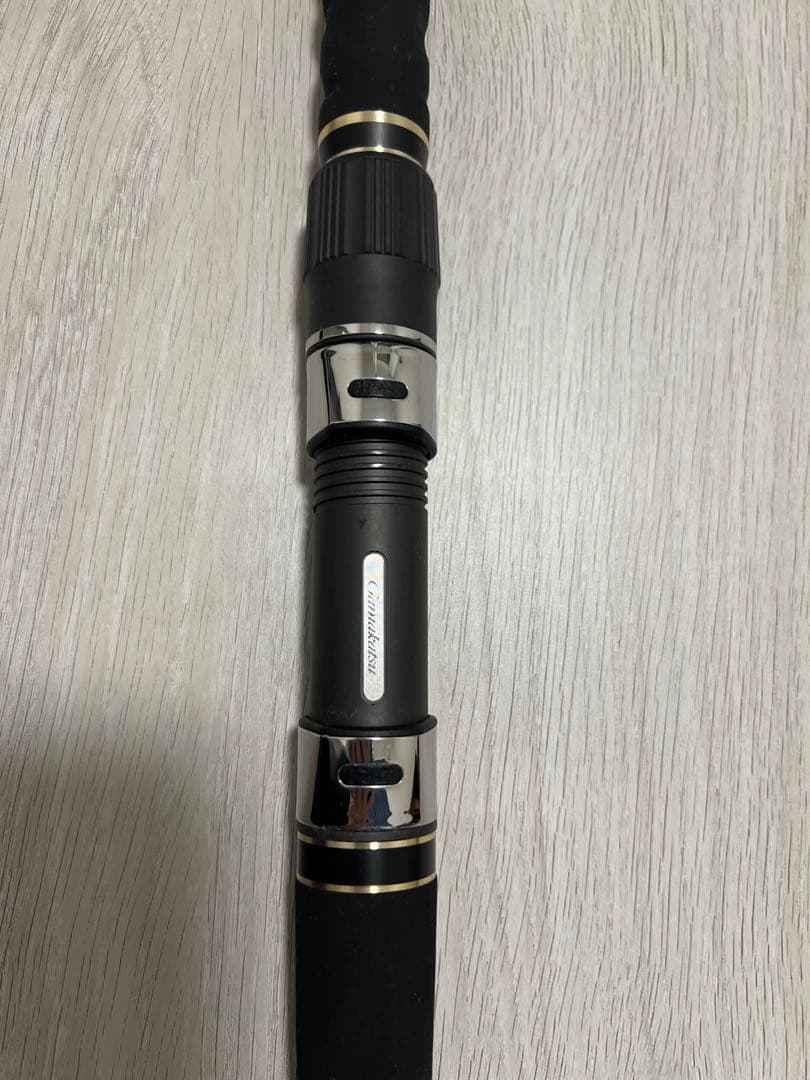 がま石　レギス3 遠投　540