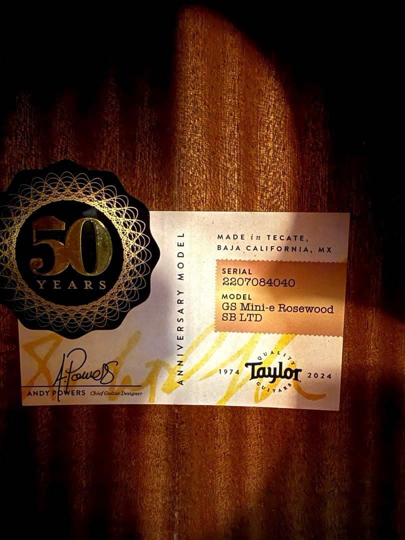 テイラー50周年GS Mini-e Rosewood SB LTD ES2搭載