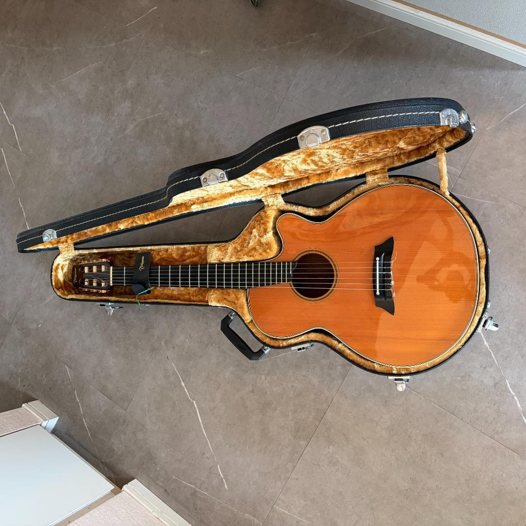 タカミネ　ガッドエレアコギター　PT-115N ST