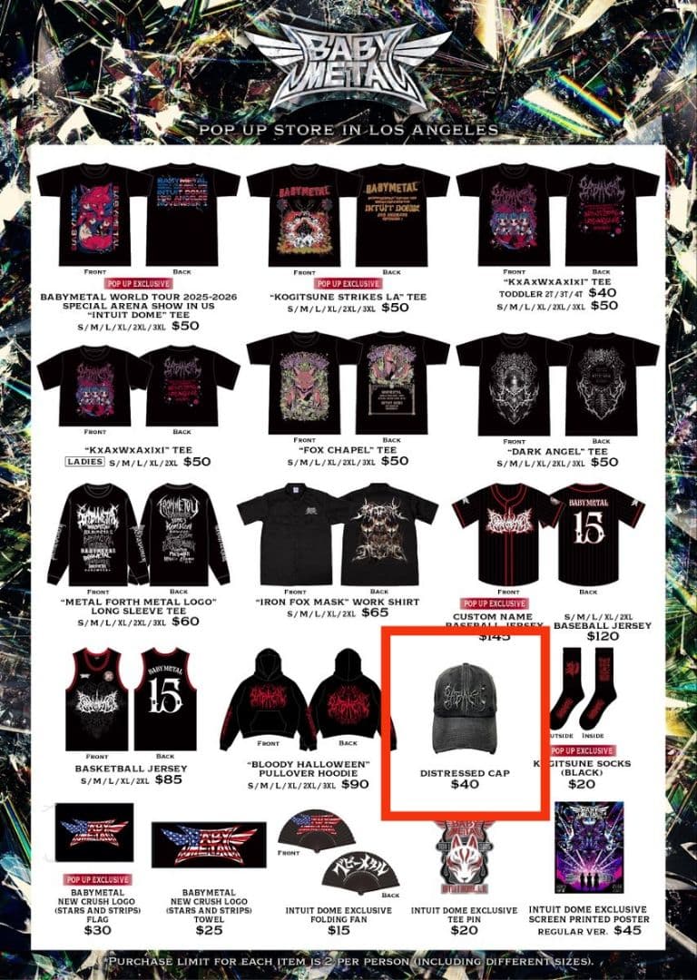 新品未使用！INTUIT 限定 DISTRESSED CAP BABYL