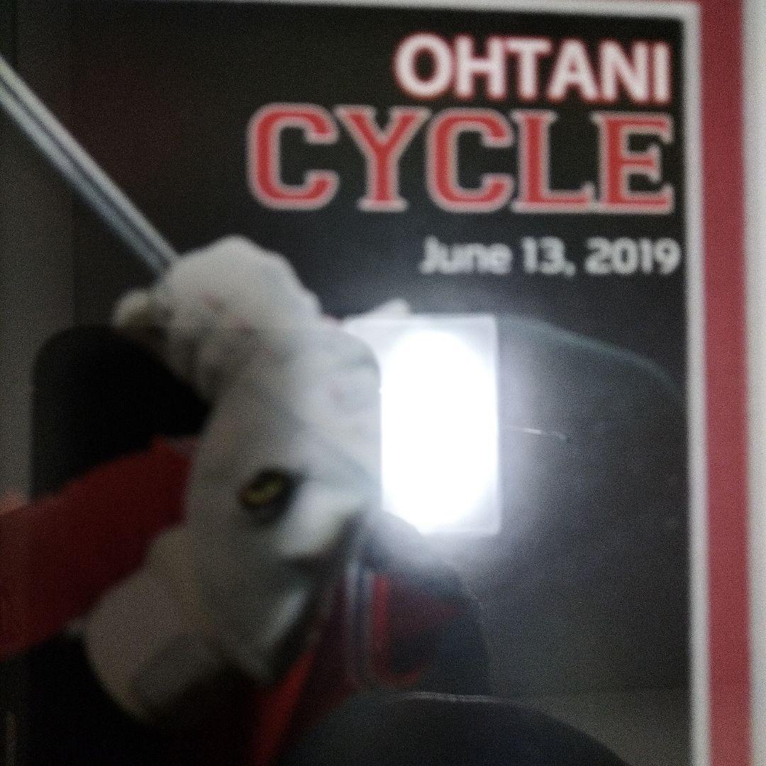 2019年大谷翔平MLB日本人初サイクルヒットフォトミント　1000枚の15番目