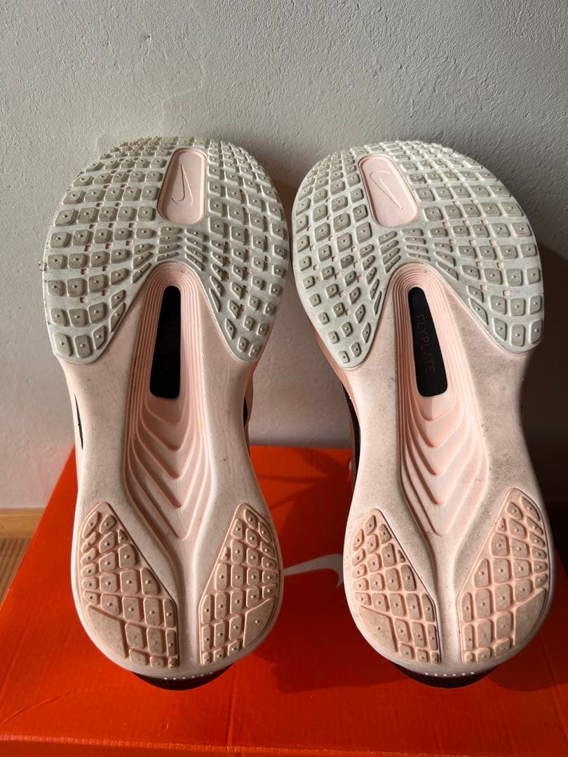 Nike ズーム フライ 6 25cm レディース