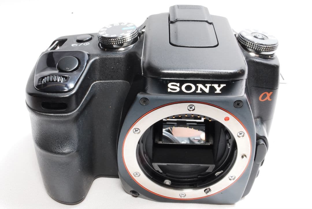 ★やさしく始める一眼★SONY α 100ダブルズームキット★付属充実★