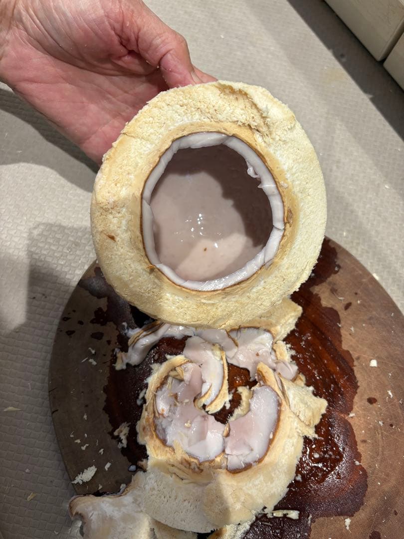 【ご確認用】ココナッツの不具合（変色・濁り）について