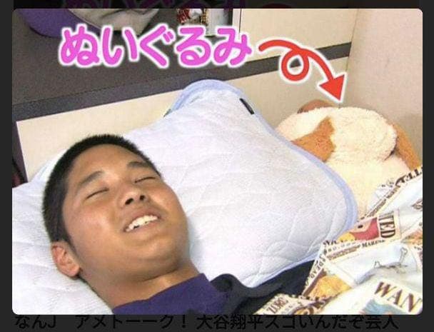 【新品未開封】ニトリぶち犬タロー大谷翔平さん愛用【残り2体匹】