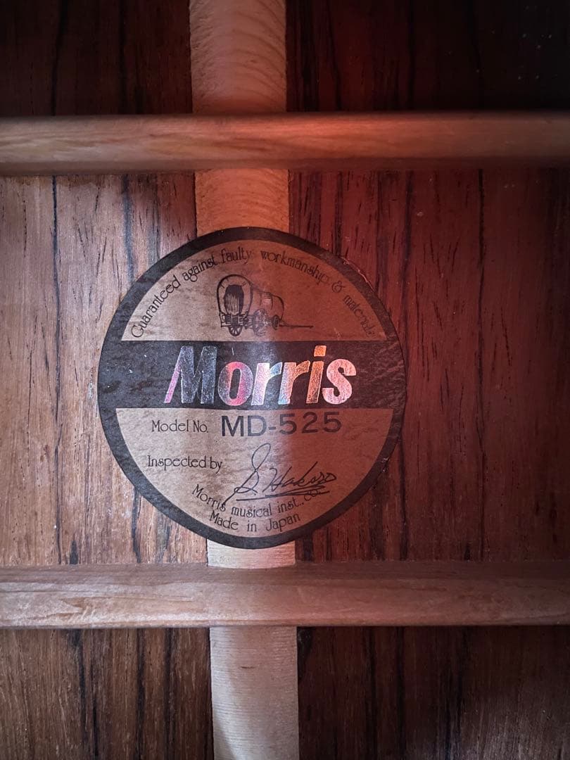 【人気！】【美品】モーリス Ｍorris MD-525 [トップ単板]